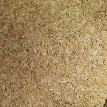 稻壳除尘过筛散装酿酒透气性好非陈化粮壳，厂家直供非贸易