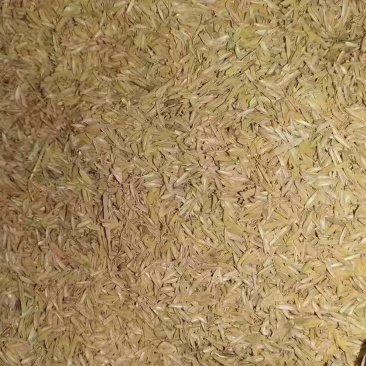稻壳除尘过筛散装酿酒透气性好非陈化粮壳，厂家直供非贸易