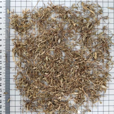 百里香干货常年经营各种中药材