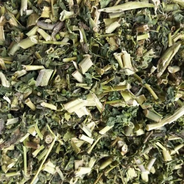 泽漆干货批发零售常年经营中药材