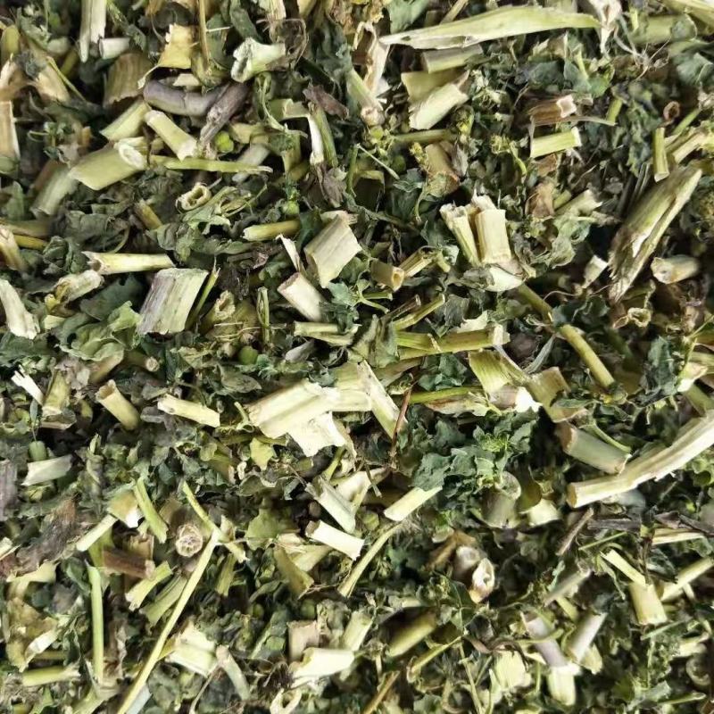 泽漆干货批发零售常年经营中药材