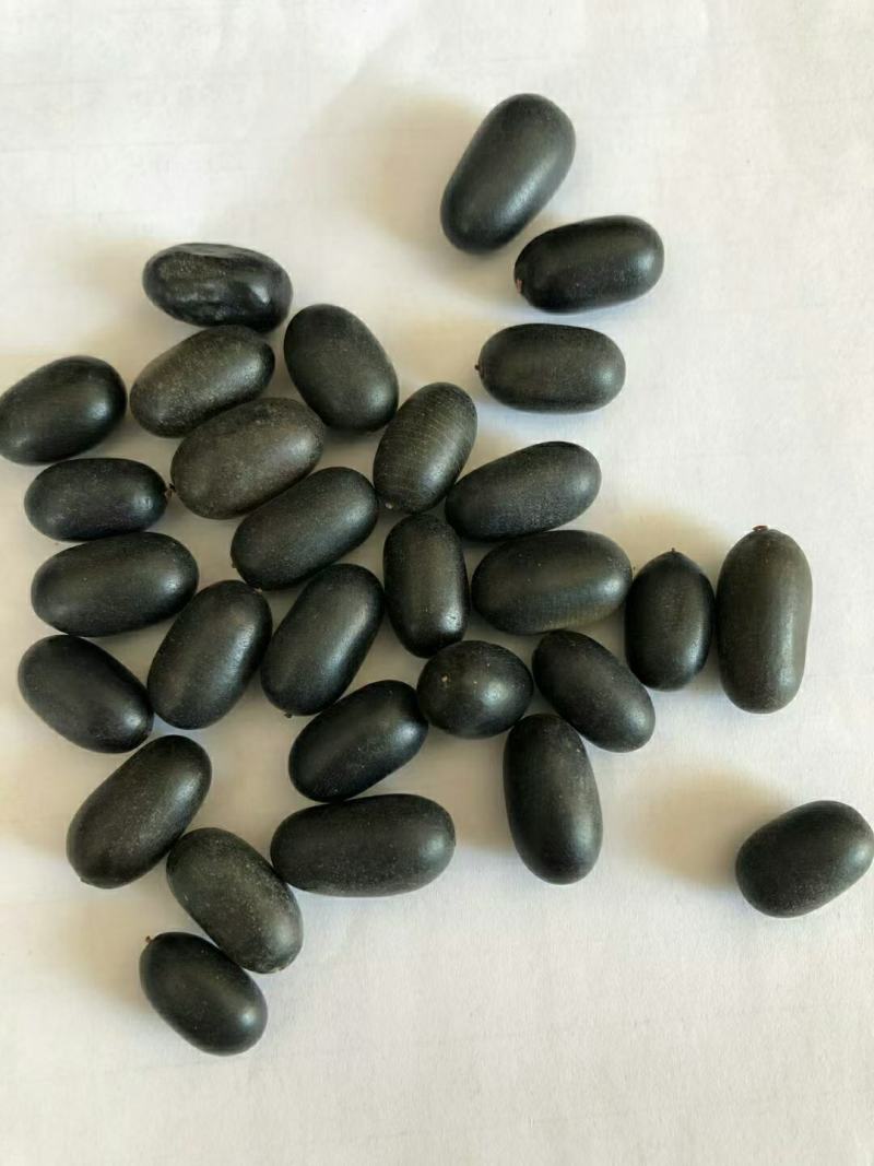 苦石莲干货量大从优欢迎选购！