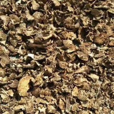 龙骨风量大从优干货常年经营各种中药