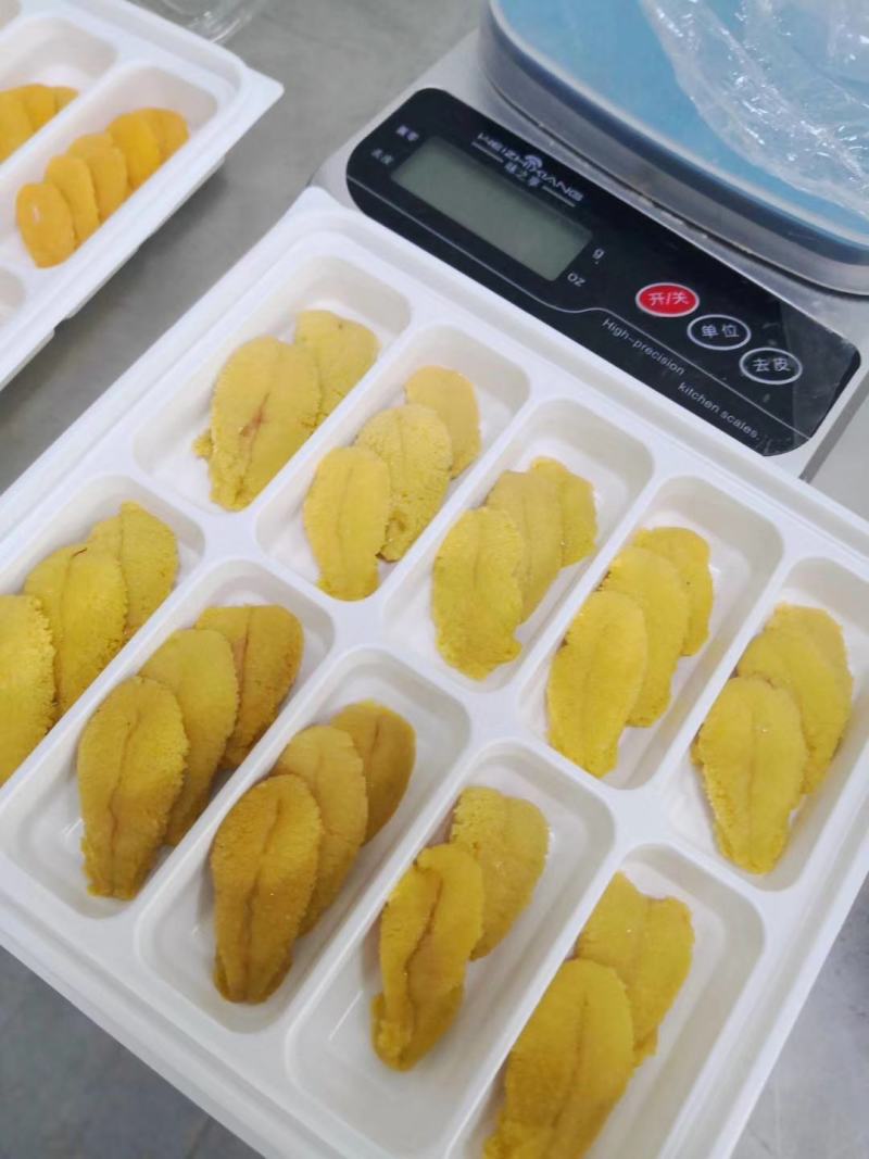 海胆肉
