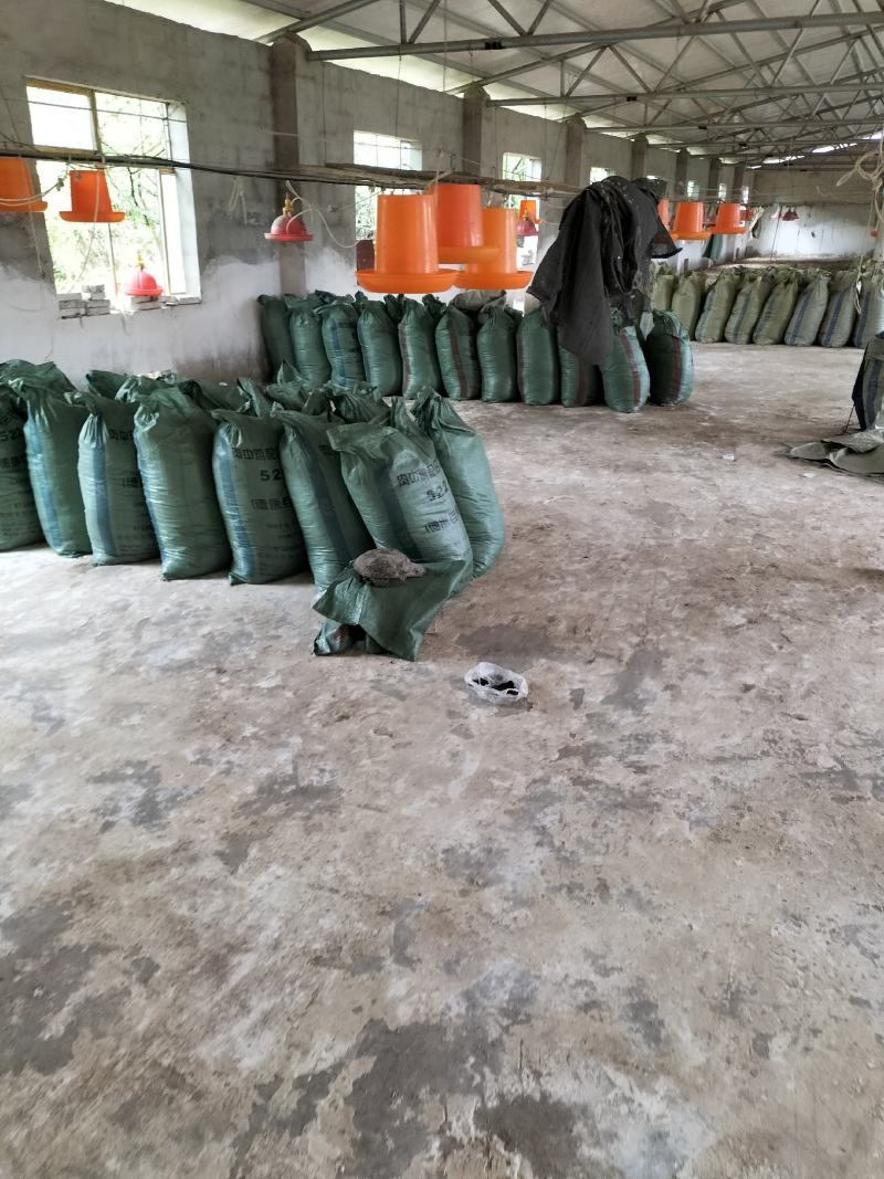 鸡粪，地基粪，谷壳鸡粪，