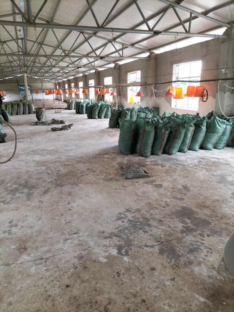 鸡粪，地基粪，谷壳鸡粪，