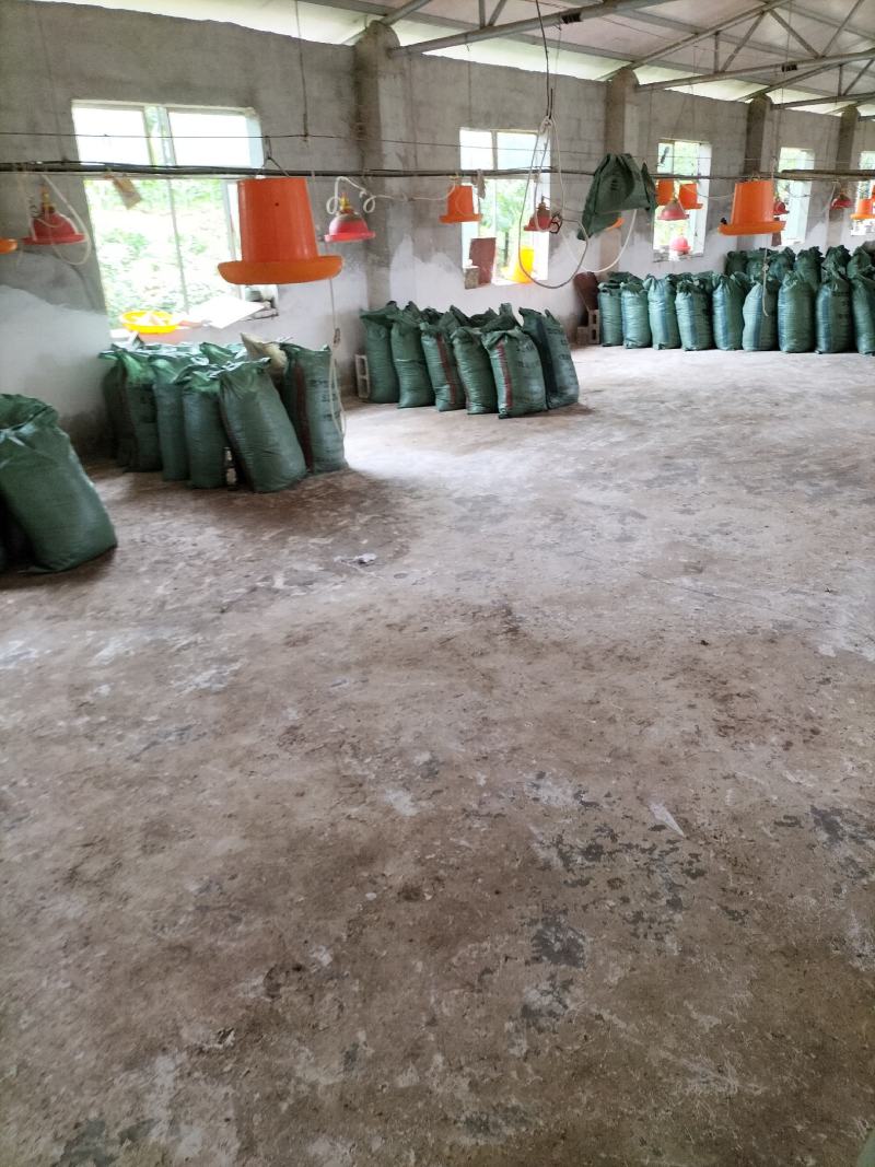 鸡粪，地基粪，谷壳鸡粪，