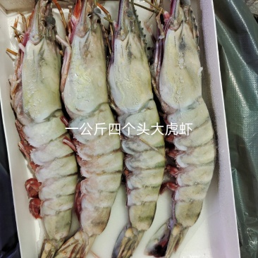 虎虾