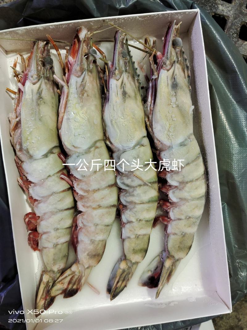 虎虾