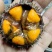 马粪胆（海胆）