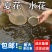 基地直供螺丝青魚苗长得快螺丝鱼苗黑鲩鱼苗螺狮青鱼水花