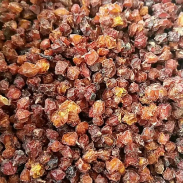 沙棘干货中药材量大从优欢迎选购！