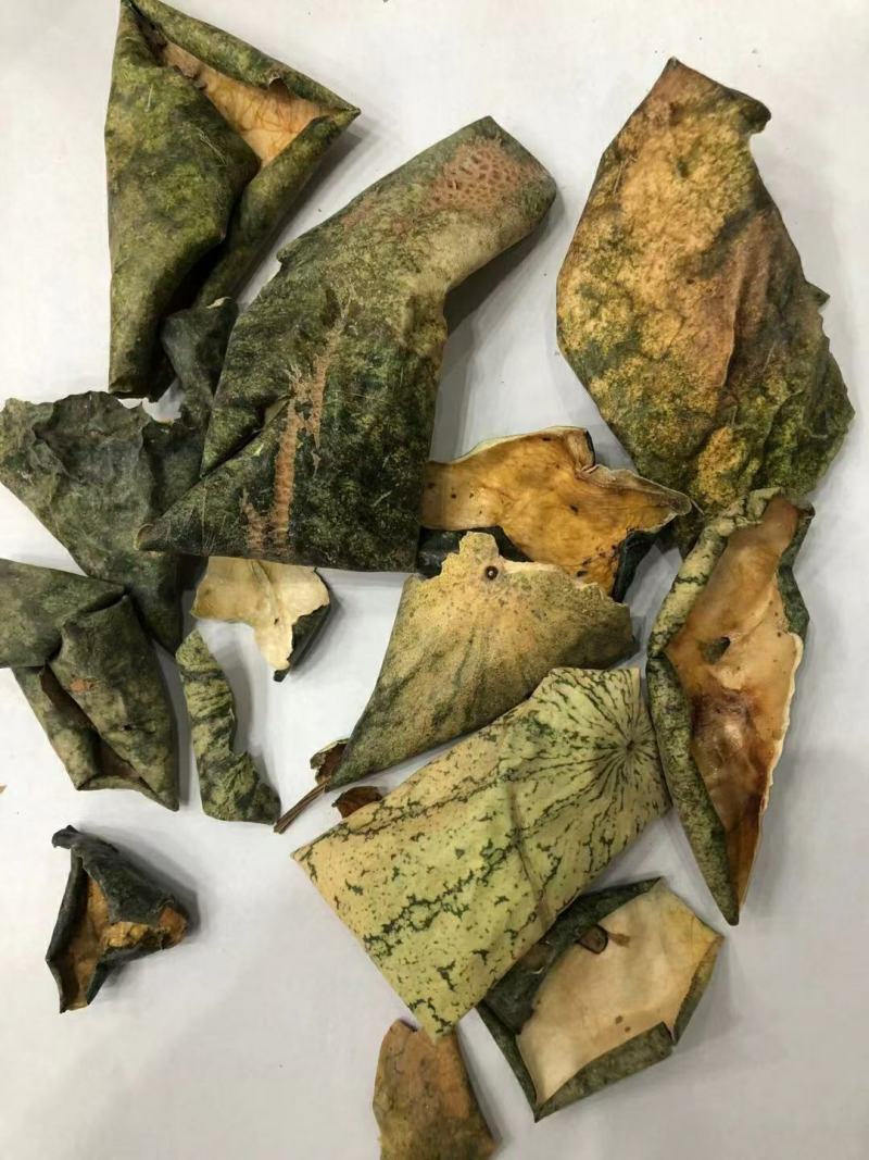 西瓜皮量大从优干货干净无杂质