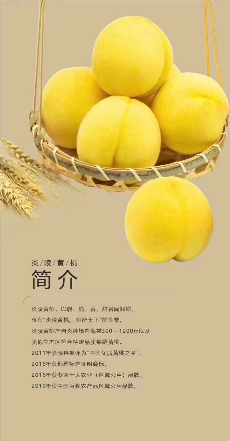 长沙红星全球农批中心一亩田豆牛代卖档口常年代卖当季水果