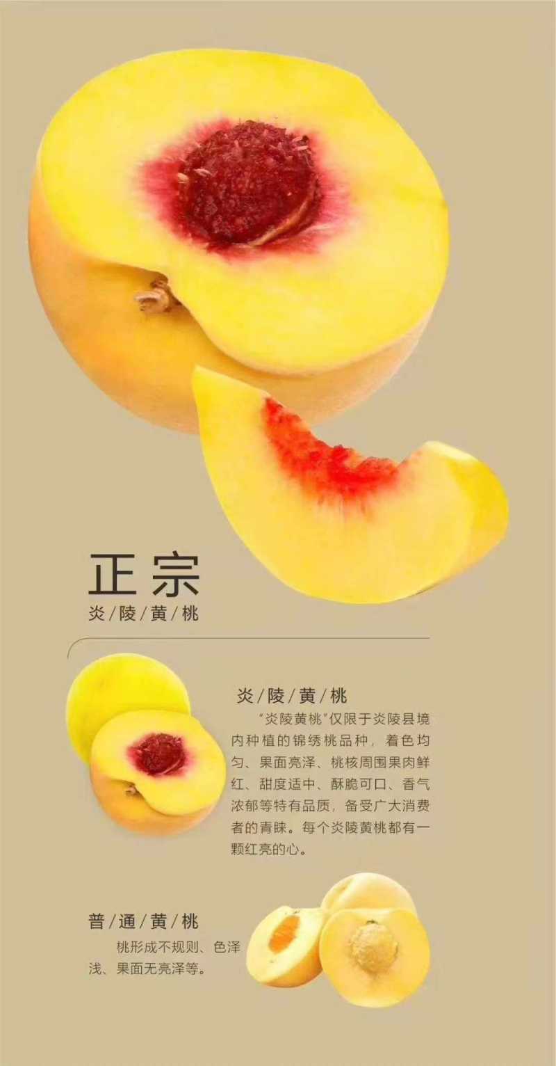长沙红星全球农批中心一亩田豆牛代卖档口常年代卖当季水果