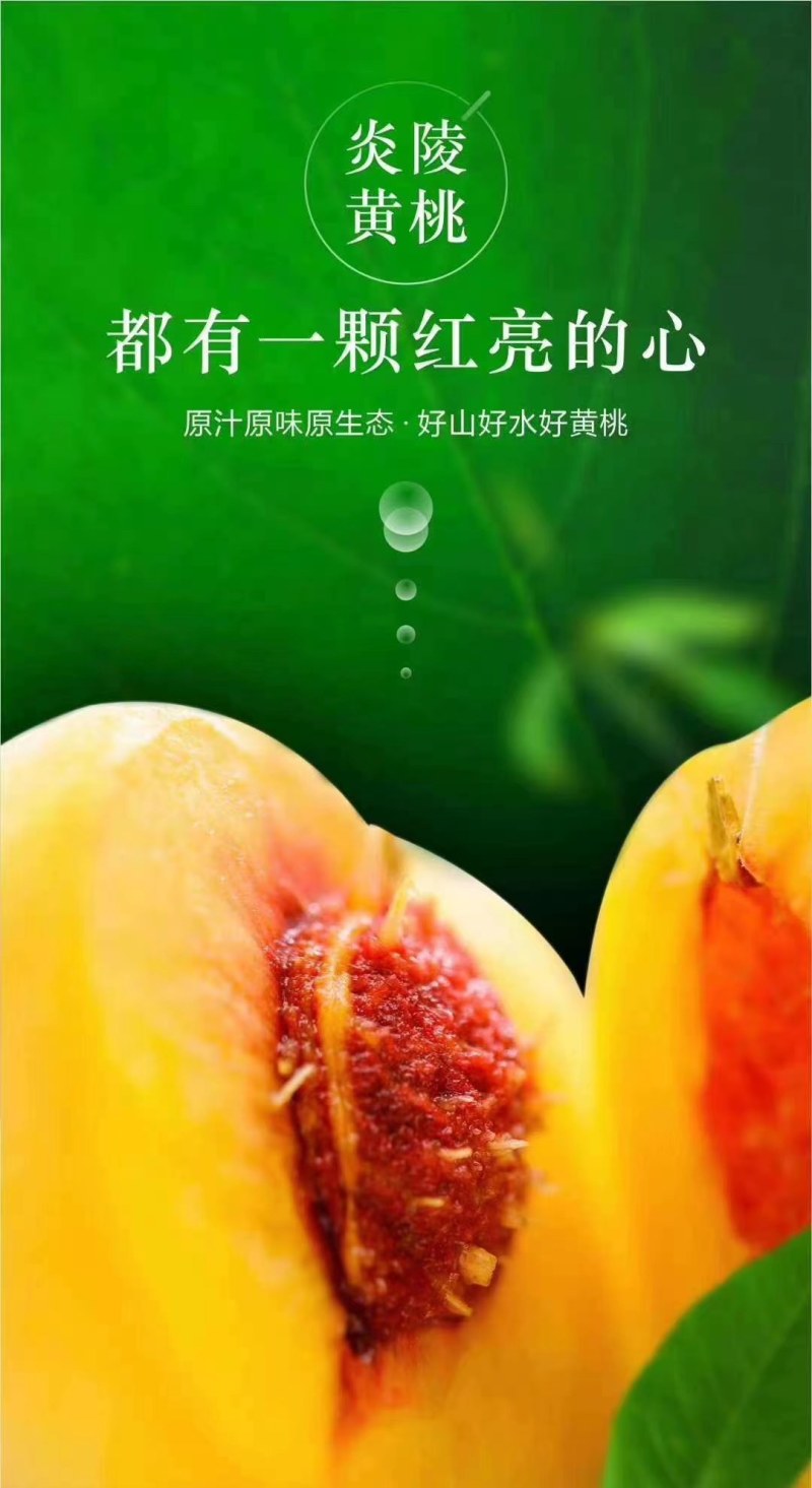 长沙红星全球农批中心一亩田豆牛代卖档口常年代卖当季水果
