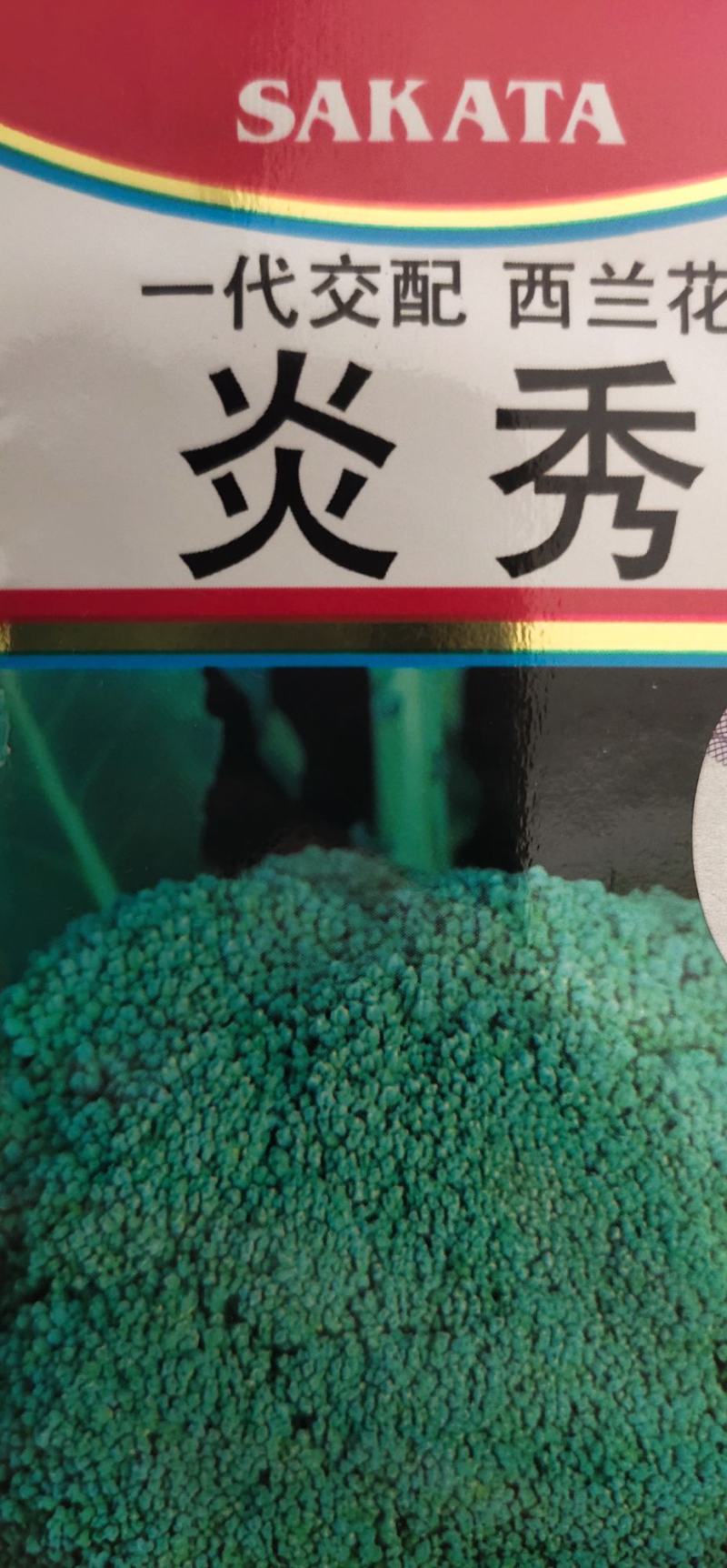 炎秀西兰花种子，青花菜种子一代交配亩1.5袋