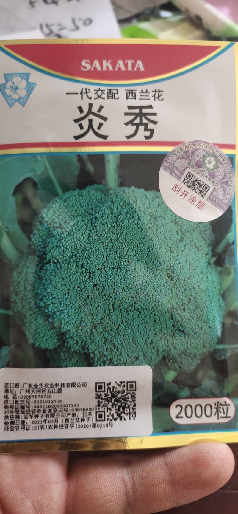 炎秀西兰花种子，青花菜种子一代交配亩1.5袋