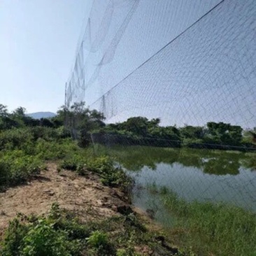 厂家直销果园防鸟网鱼塘樱桃天网机场防护网葡萄网