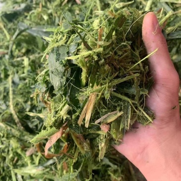 便宜出售新青储玉米秸秆牛羊好饲料！稳定