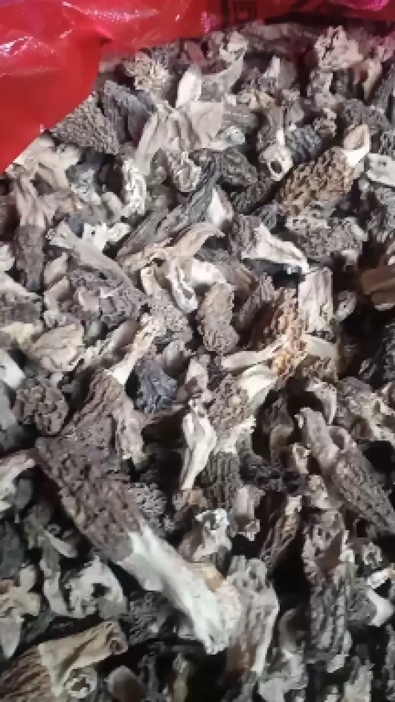 河南卢氏野生羊肚菌，中上通货，选货等