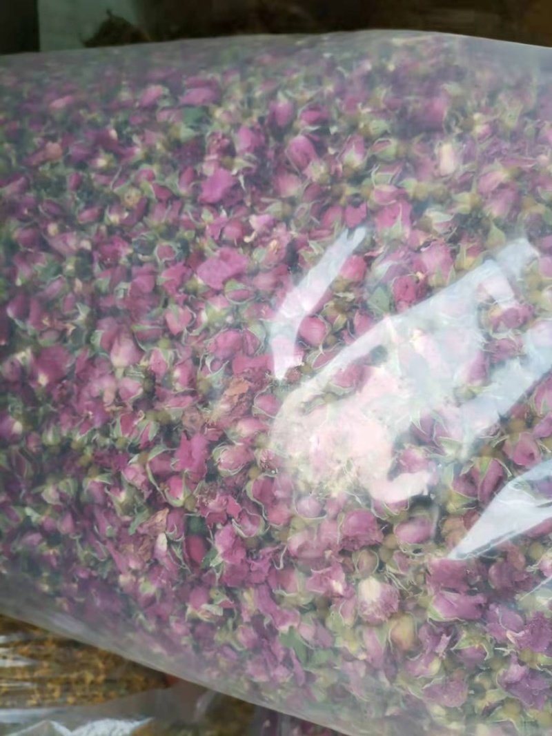 玫瑰花长期供应，山东全检大玫瑰