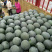 湖北万亩黑皮无籽西瓜黑金刚洞庭头茬瓜社区团购+批发