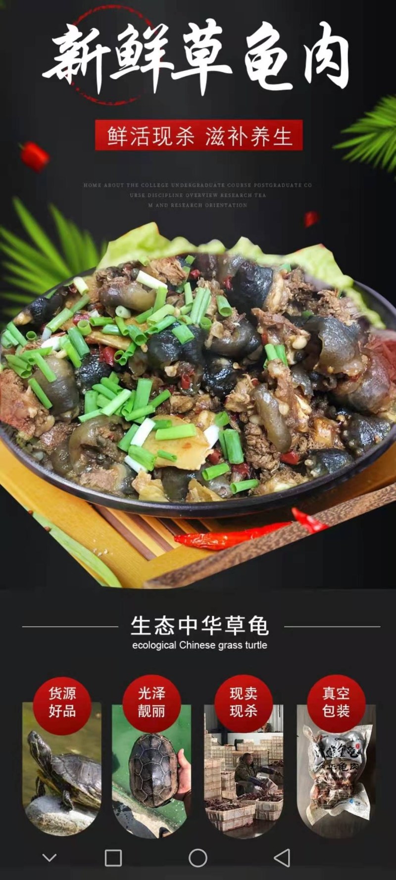 乌龟肉，餐饮，快餐，酒店，营养价值高