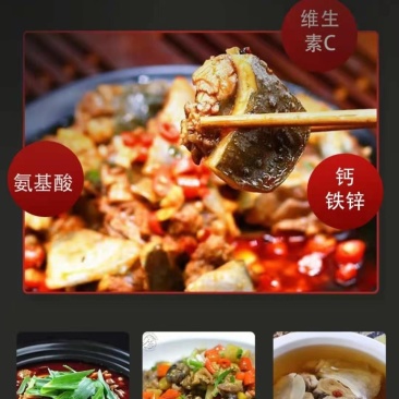 乌龟肉，餐饮，快餐，酒店，营养价值高