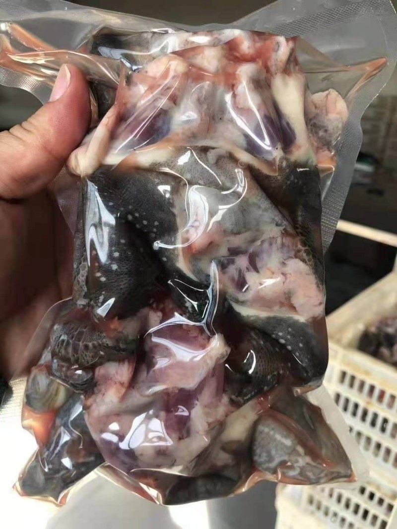 厂家直销，乌龟肉，新产品，价格便宜！适合团餐，酒店，学校