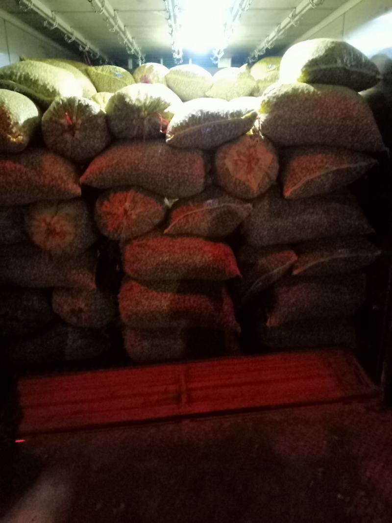 小白沙鲜果花生