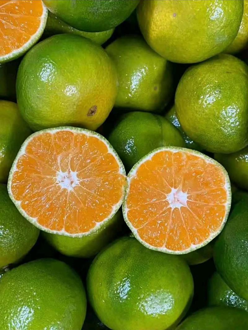 大降价蜜橘高山柑桔带叶桔大量电商市场平台一手货源！！