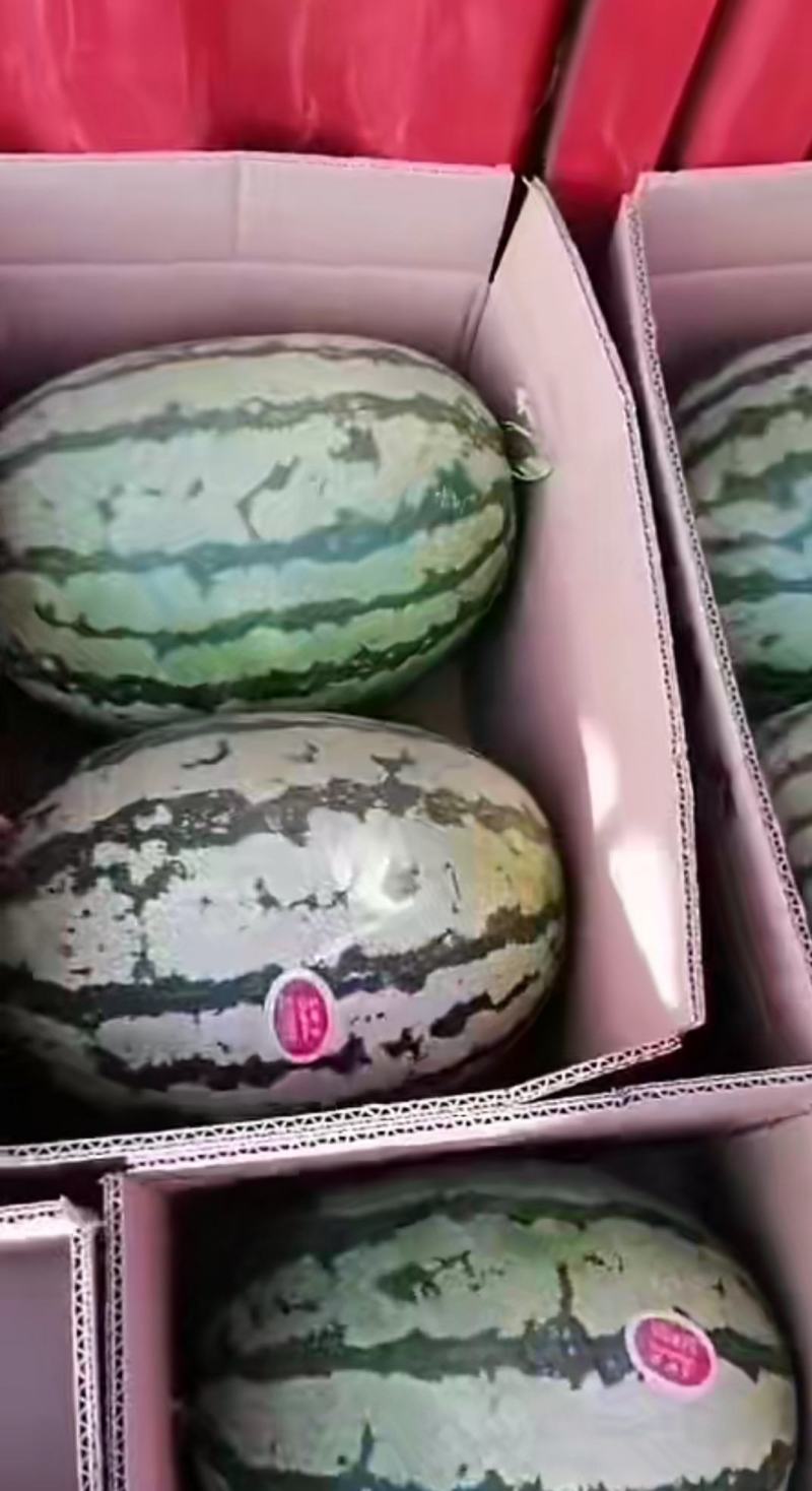 靖远砂西瓜，皮薄瓤甜，大量上市