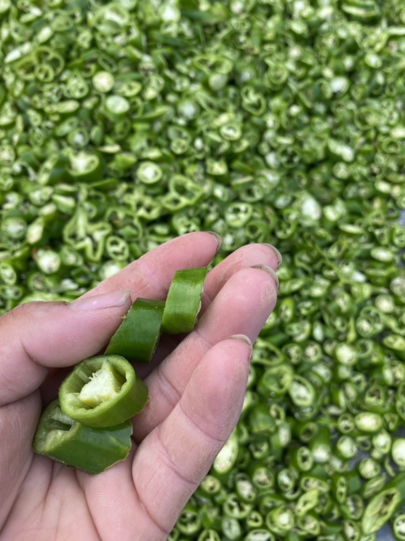 精选干绿辣椒皮青辣椒片青辣椒条绿辣椒条青椒丝厚皮