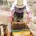 23年新款土蜂蜜农家自产纯茴香蜜结晶枸杞蜜真蜂蜜