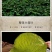 江西新大号荷叶整张天然干荷叶包饭荷叶粥叫花鸡糯荷叶批发