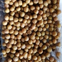 芽苗菜，豌豆苗，麻豌豆，二号麻豌豆，大叶豌豆，花生，绿豆