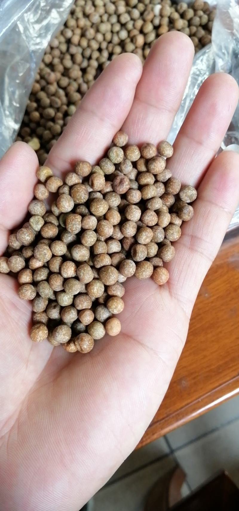 芽苗菜，豌豆苗，麻豌豆，二号麻豌豆，大叶豌豆，花生，绿豆