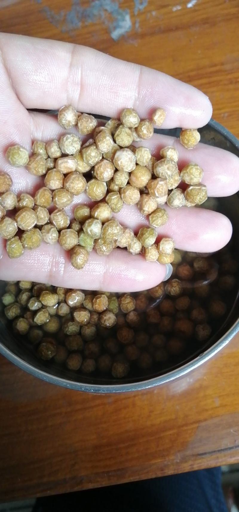 芽苗菜，豌豆苗，麻豌豆，二号麻豌豆，大叶豌豆，花生，绿豆