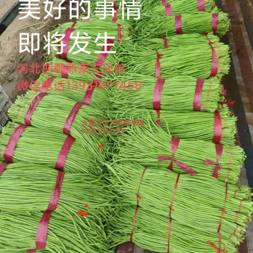长豆角
