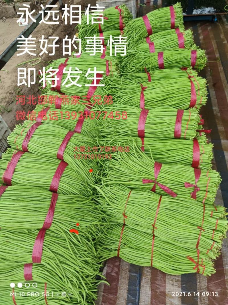 长豆角