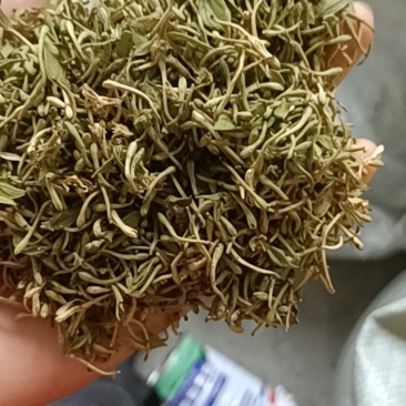 金银花