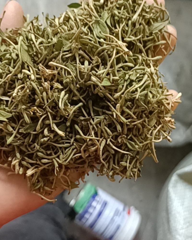 金银花