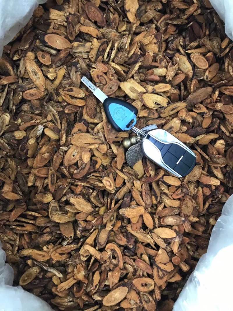 炙黄芪蜜炙黄芪泡水蜜炙黄芪片制黄芪蜜炒黄芪陇西黄芪