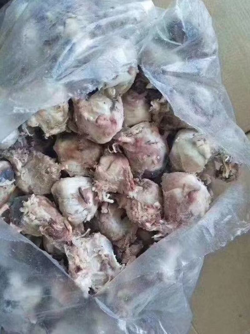熟羊眼，质量好，价格合适，一手货源，全国冷链发货