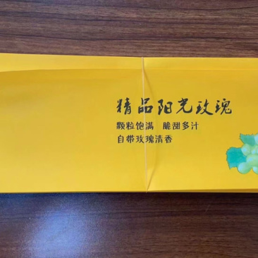 全新中文款阳光玫瑰晴王葡萄包装袋