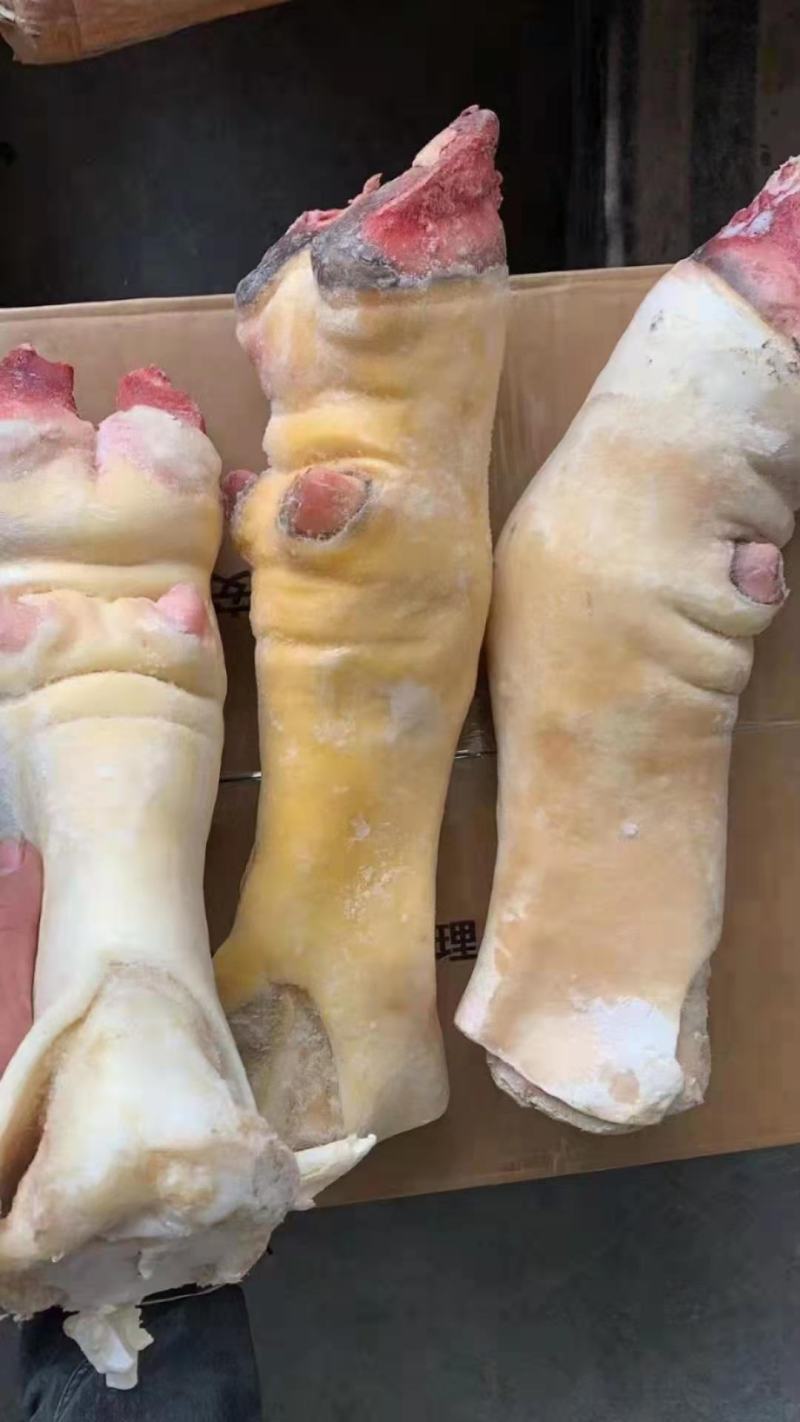 【实力推荐】牛蹄牛掌，半去骨牛蹄，去骨牛蹄，各种规格
