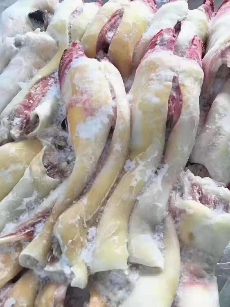 【实力推荐】牛蹄牛掌，半去骨牛蹄，去骨牛蹄，各种规格