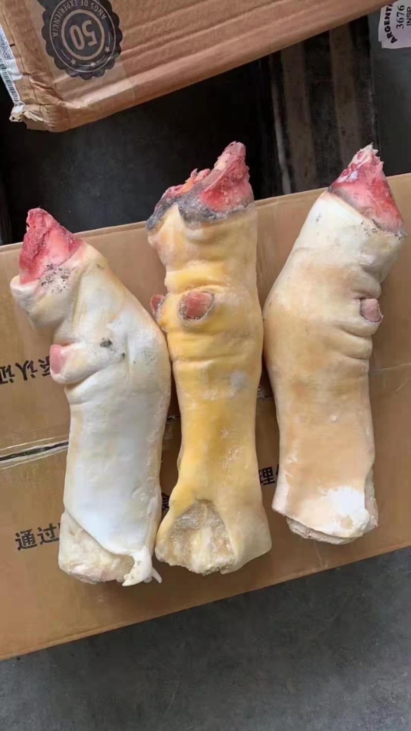 【实力推荐】牛蹄牛掌，半去骨牛蹄，去骨牛蹄，各种规格