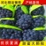 夏黑葡萄，河北大量供应，葡萄基地，质量保证
